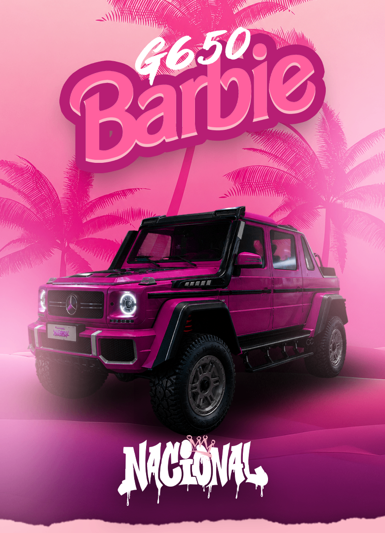 VEÍCULO TEMÁTICO BARBIE - G650 BARBIE